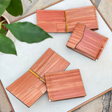 [Persimmon tangy dyed] <br>bill scissors